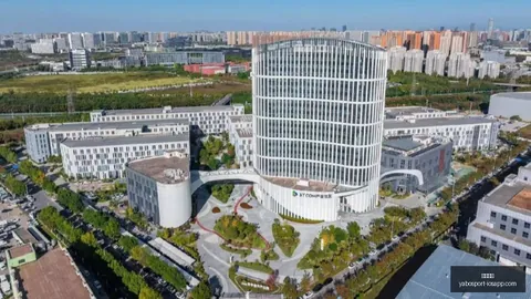 荣耀电竞新品，亚博体育app，发布，春季赛预热升温